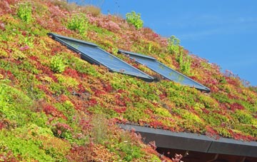 Little Broughton living roof systems